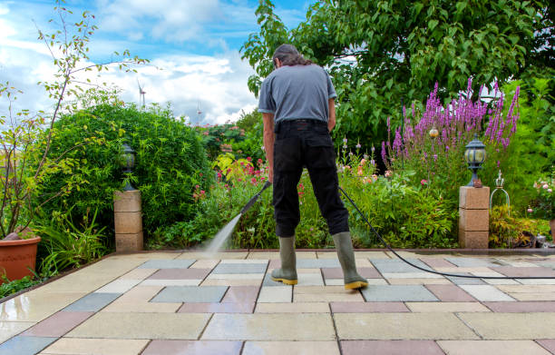Best Pool Deck Cleaning  in St Helena, CA