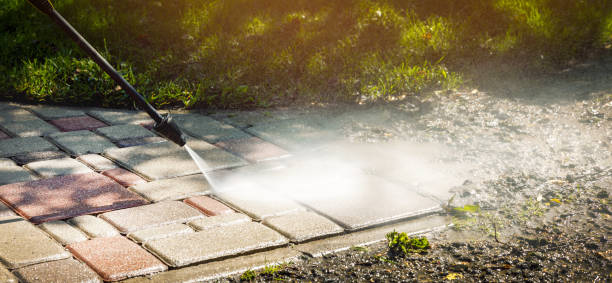 Best Animal Enclosure Cleaning  in St Helena, CA